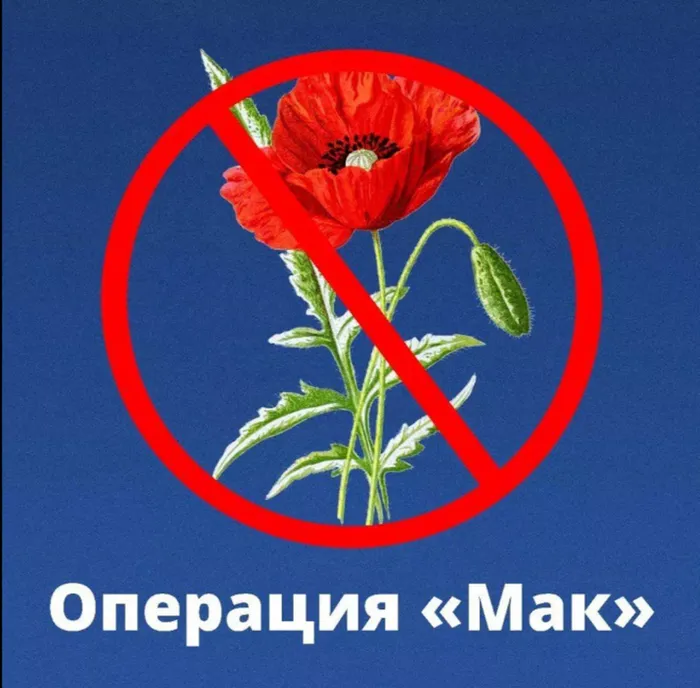 Операция МАК
